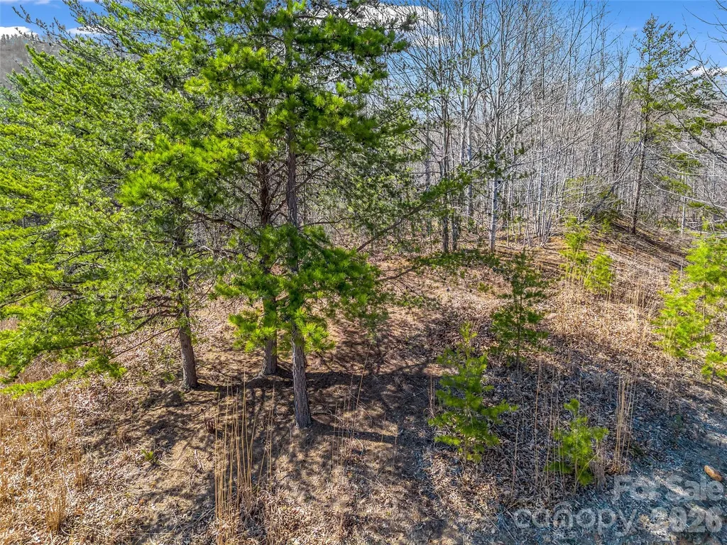 190 Cherry Hill Mill Spring NC 28756