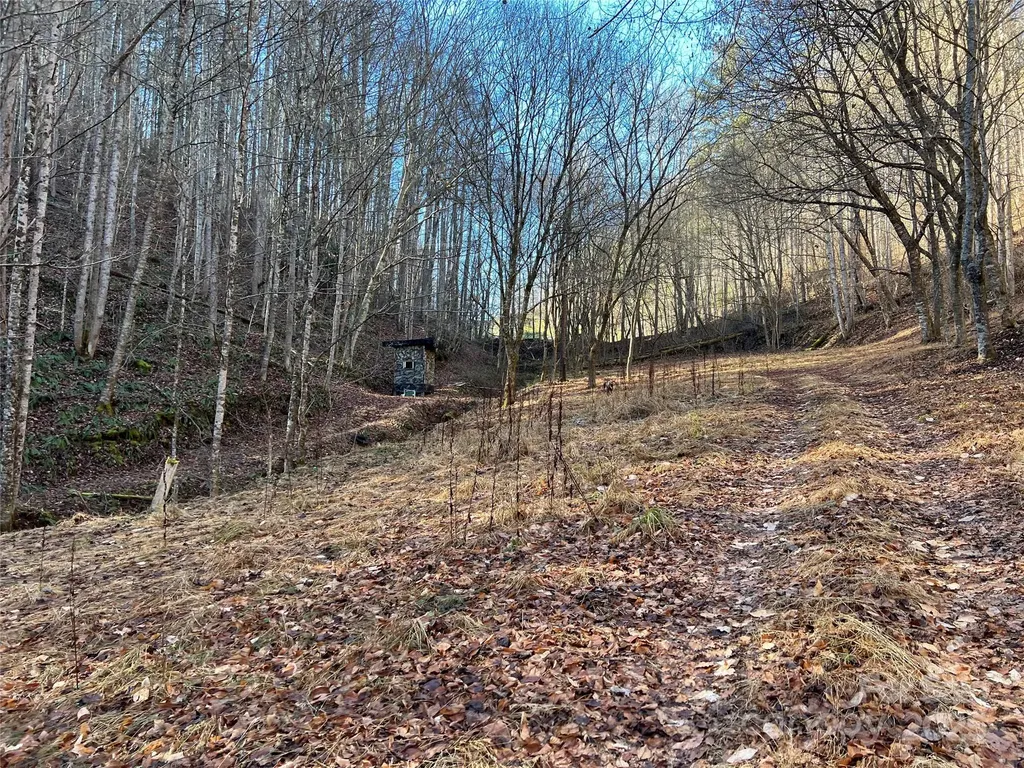12982 Us Hwy 19w Burnsville NC 28714