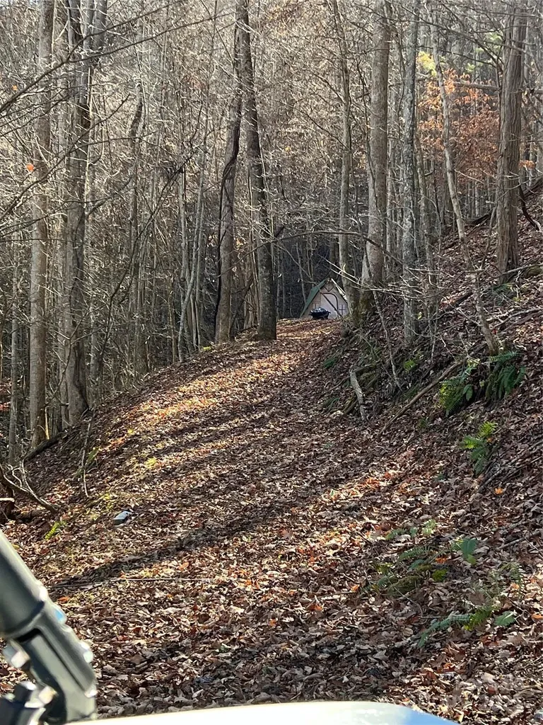 12982 Us Hwy 19w Burnsville NC 28714