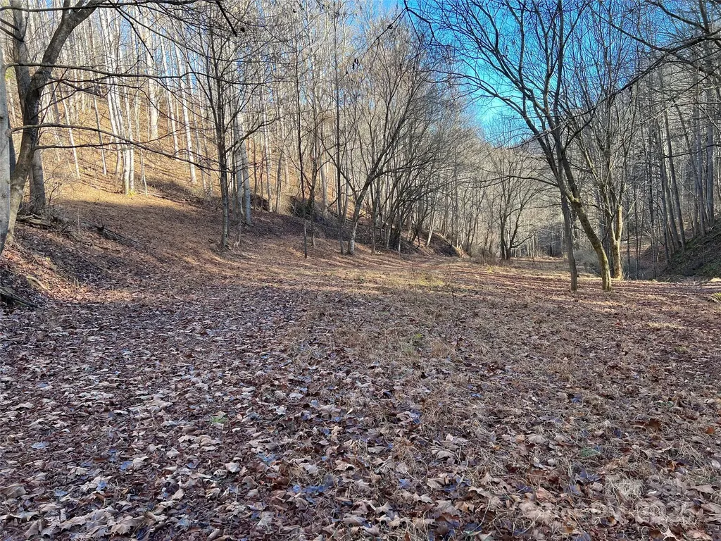 12982 Us Hwy 19w Burnsville NC 28714