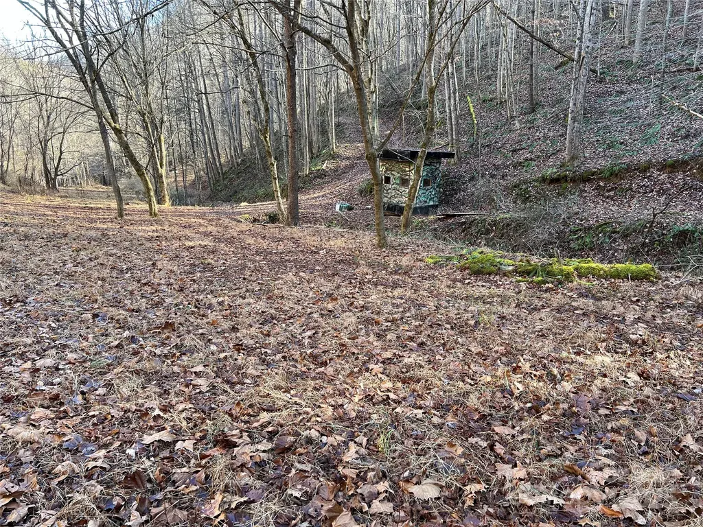 12982 Us Hwy 19w Burnsville NC 28714