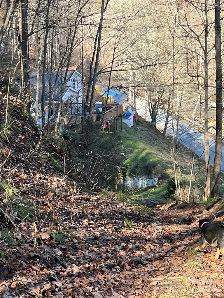 12982 Us Hwy 19w Burnsville NC 28714