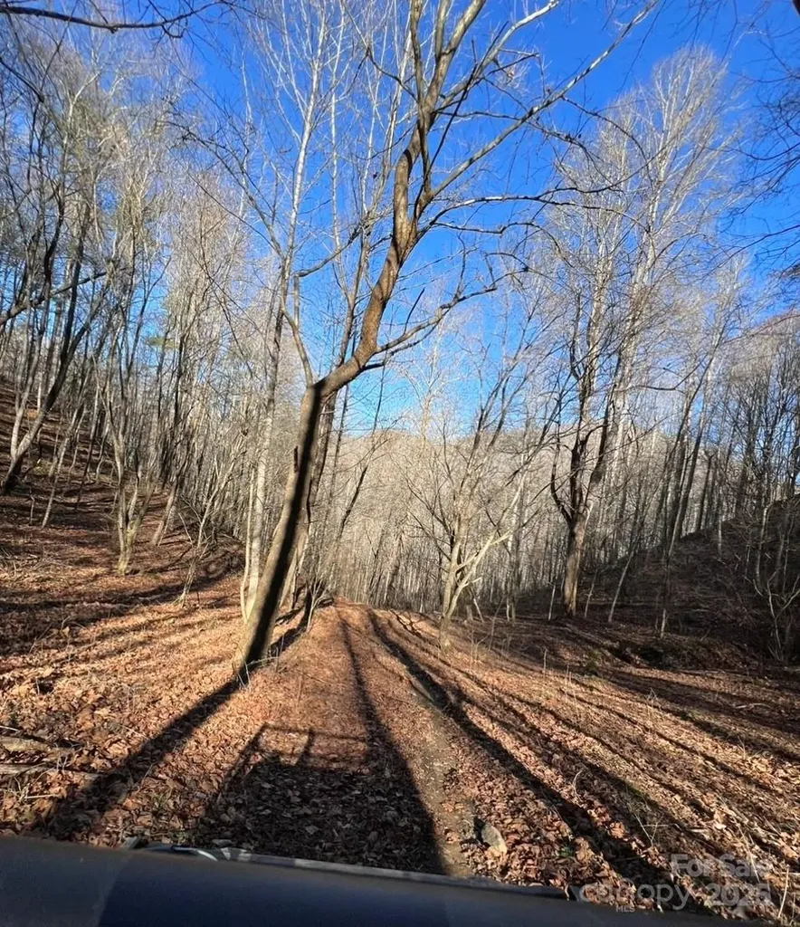 12982 Us Hwy 19w Burnsville NC 28714