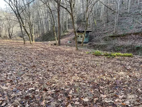 12982 Us Hwy 19w Burnsville NC 28714