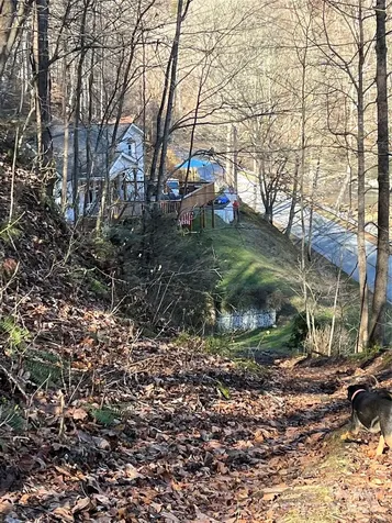 12982 Us Hwy 19w Burnsville NC 28714