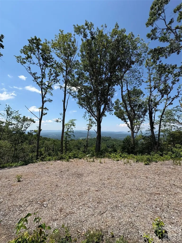 Lot 50 Mountain Grove Lane Fletcher NC 28732