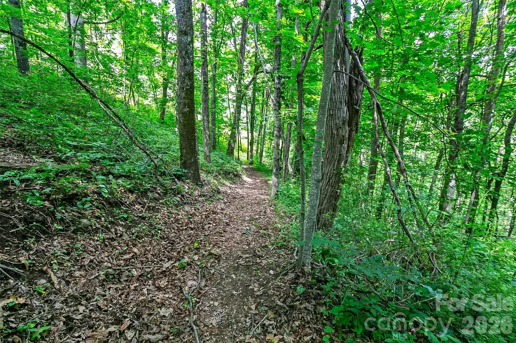 Lot 50 Mountain Grove Lane Fletcher NC 28732