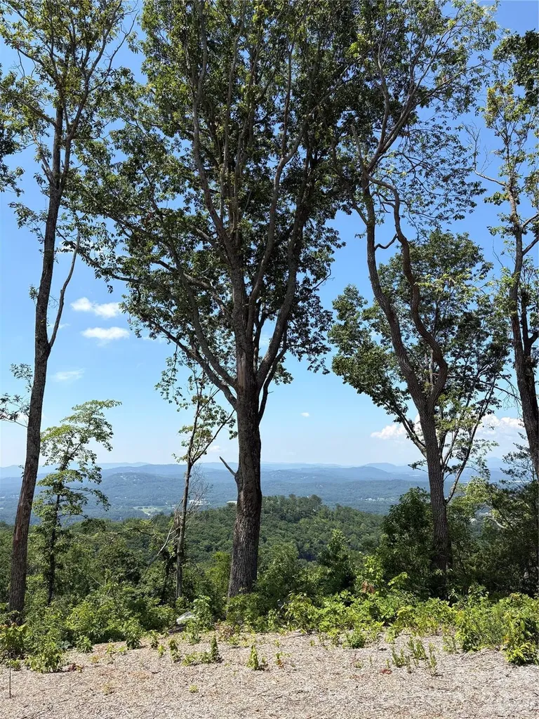 Lot 50 Mountain Grove Lane Fletcher NC 28732