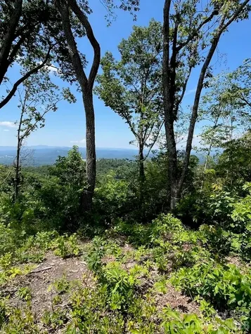 Lot 50 Mountain Grove Lane Fletcher NC 28732