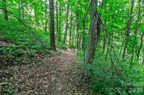 Lot 50 Mountain Grove Lane Fletcher NC 28732