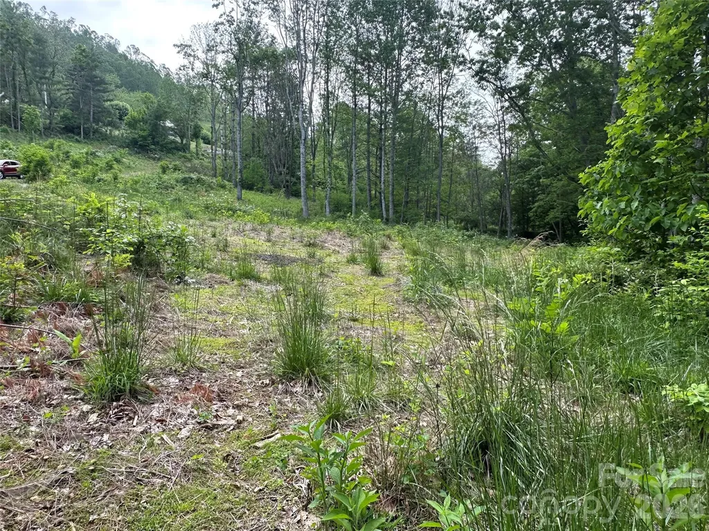 000 Pumpkin Patch Road Bakersville NC 28705