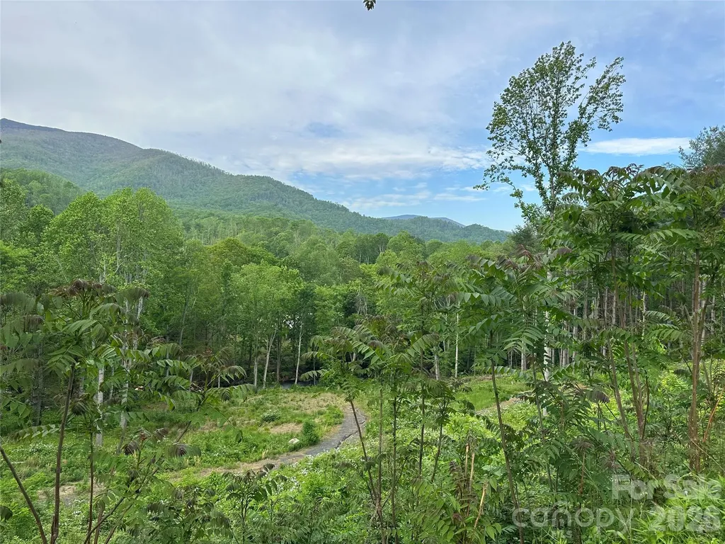 000 Pumpkin Patch Road Bakersville NC 28705