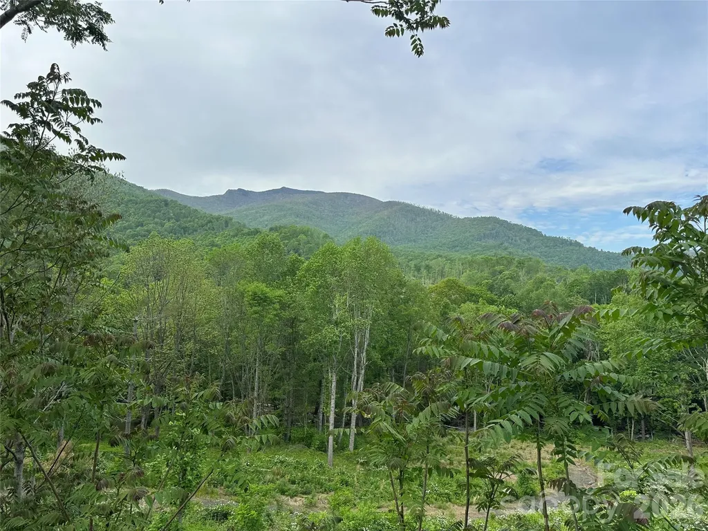000 Pumpkin Patch Road Bakersville NC 28705