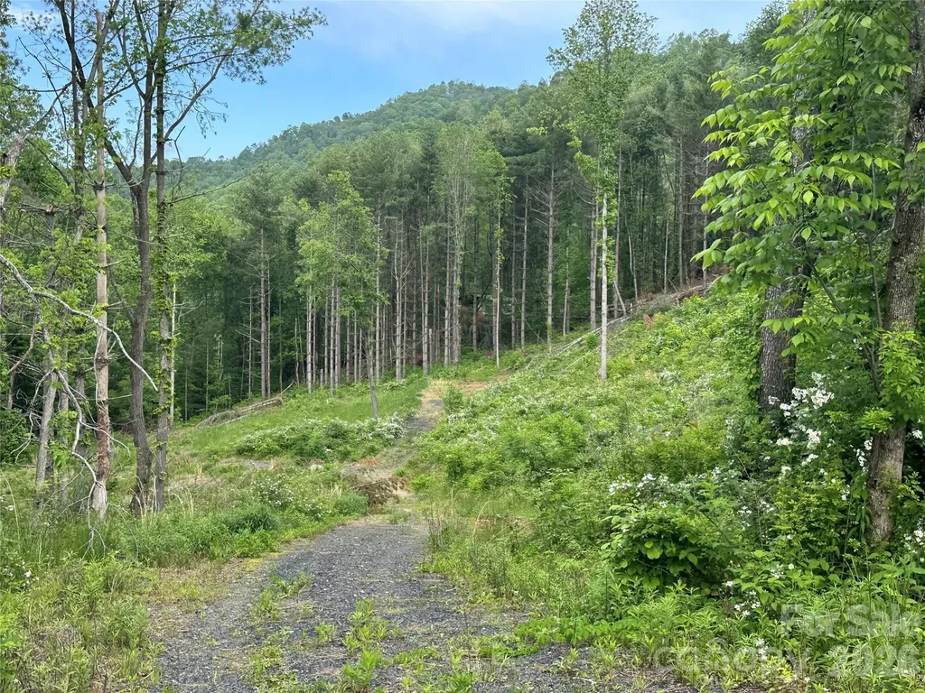 000 Pumpkin Patch Road Bakersville NC 28705