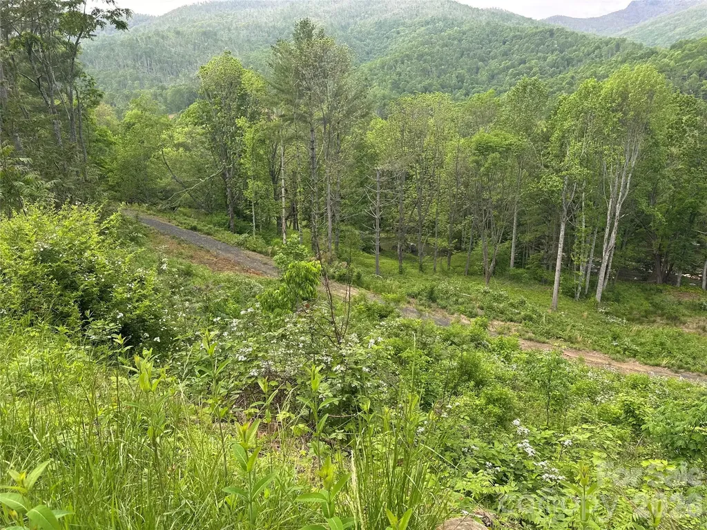 000 Pumpkin Patch Road Bakersville NC 28705
