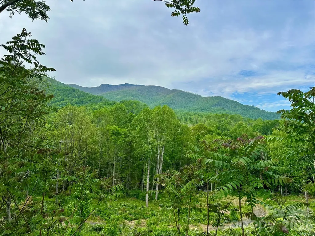 000 Pumpkin Patch Road Bakersville NC 28705