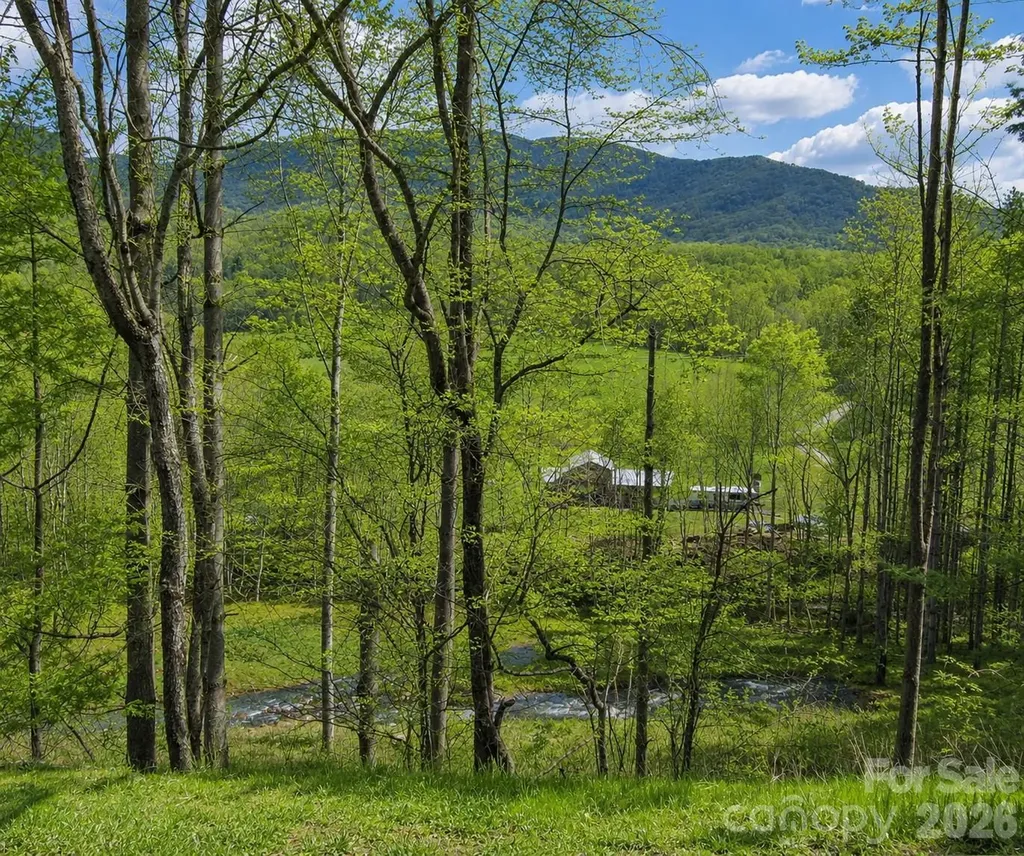 000 Pumpkin Patch Road Bakersville NC 28705