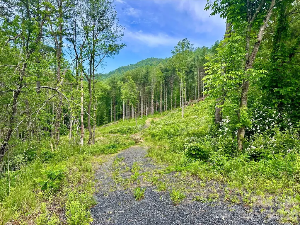 000 Pumpkin Patch Road Bakersville NC 28705