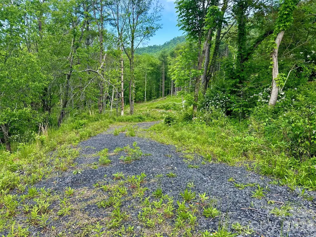 000 Pumpkin Patch Road Bakersville NC 28705