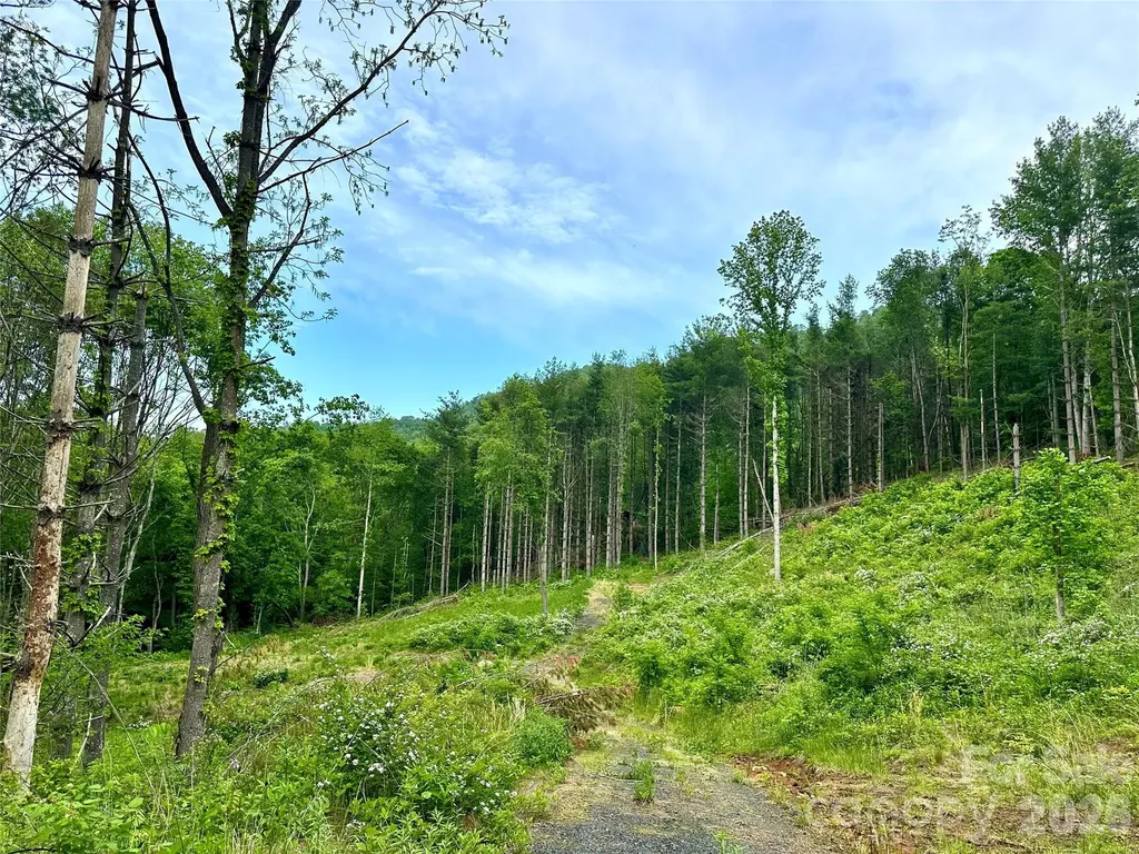 000 Pumpkin Patch Road Bakersville NC 28705