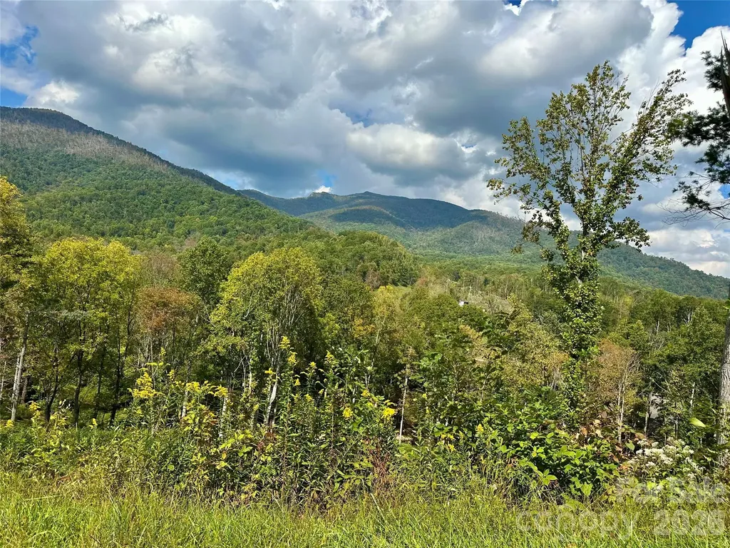 000 Pumpkin Patch Road Bakersville NC 28705