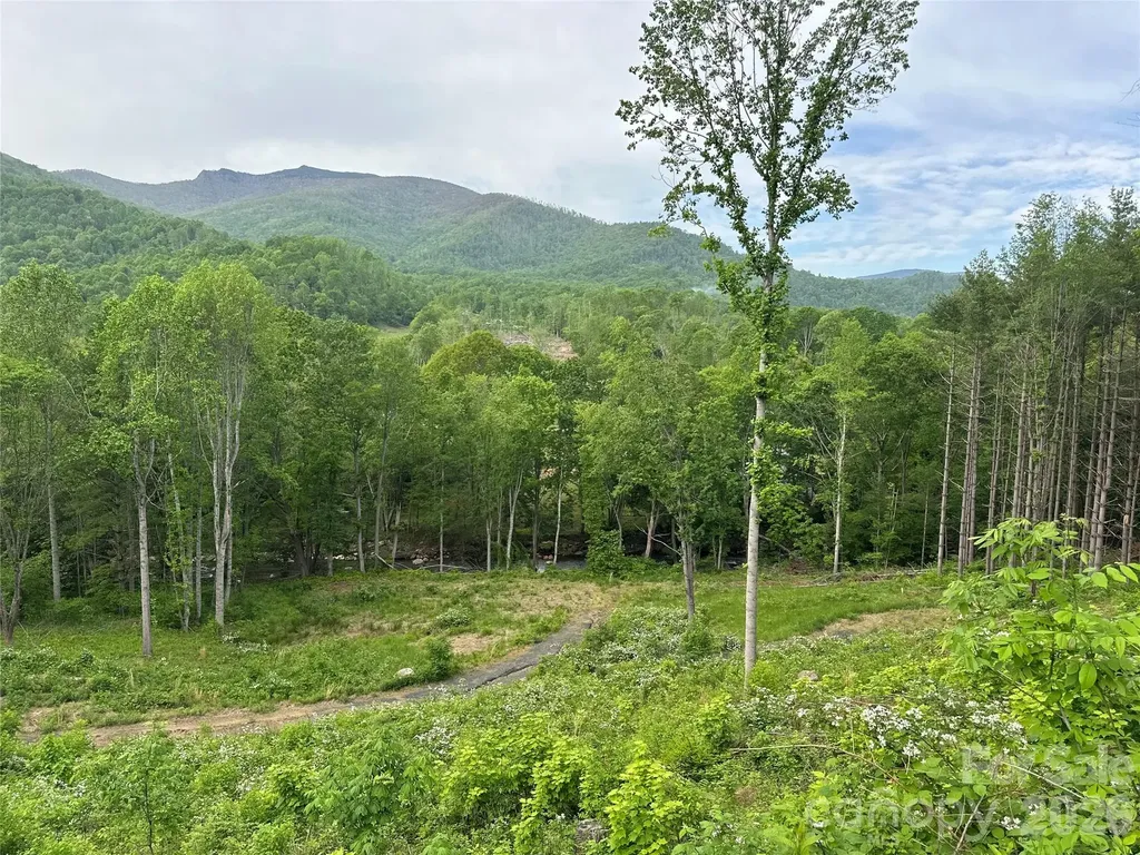 000 Pumpkin Patch Road Bakersville NC 28705