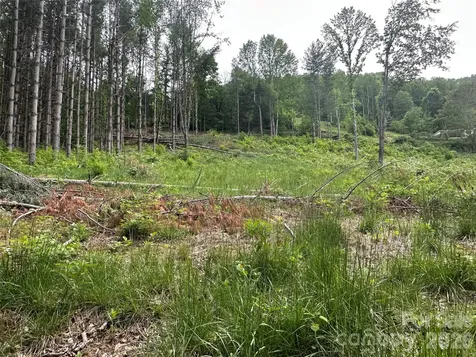000 Pumpkin Patch Road Bakersville NC 28705