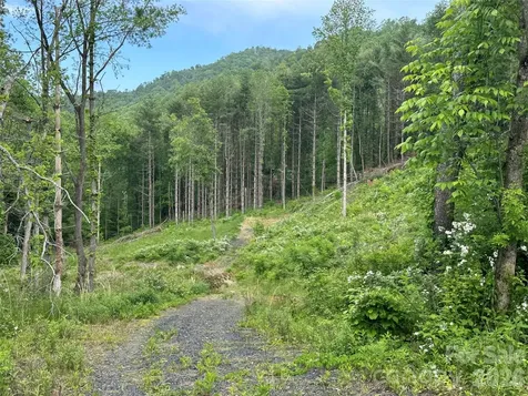 000 Pumpkin Patch Road Bakersville NC 28705