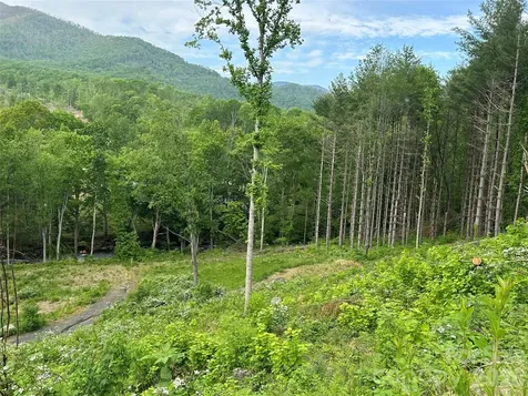 000 Pumpkin Patch Road Bakersville NC 28705