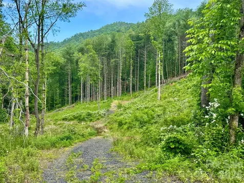 000 Pumpkin Patch Road Bakersville NC 28705