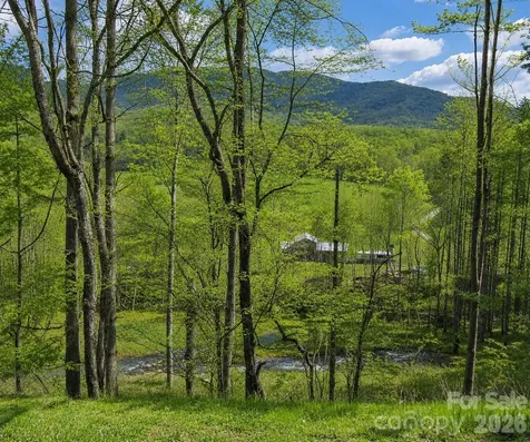 000 Pumpkin Patch Road Bakersville NC 28705