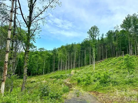 000 Pumpkin Patch Road Bakersville NC 28705