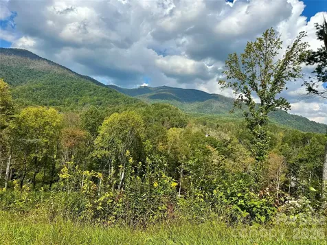 000 Pumpkin Patch Road Bakersville NC 28705
