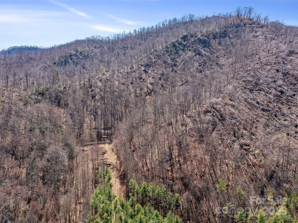 0 Nc Highway 226 Bakersville NC 28705