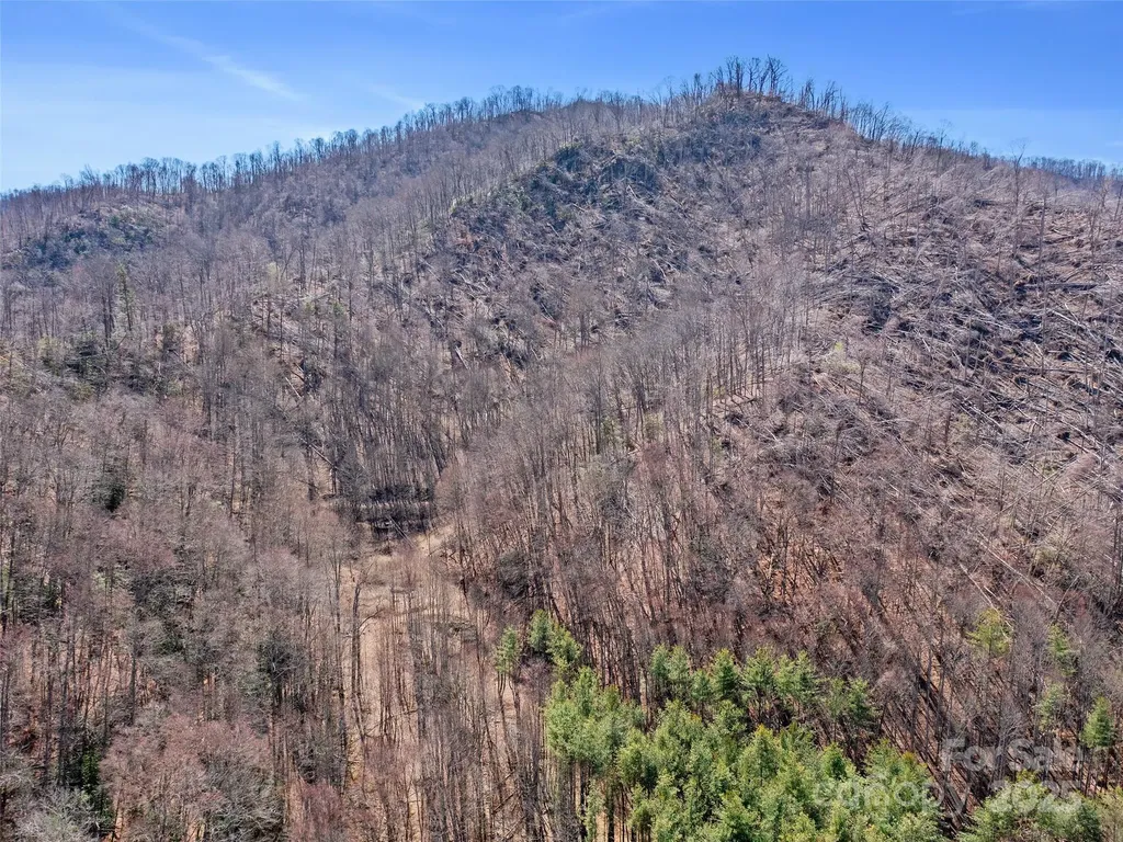 0 Nc Highway 226 Bakersville NC 28705