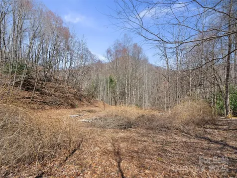 0 Nc Highway 226 Bakersville NC 28705