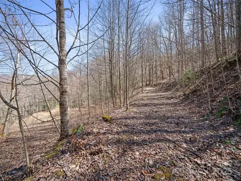 0 Nc Highway 226 Bakersville NC 28705