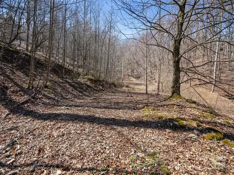 0 Nc Highway 226 Bakersville NC 28705