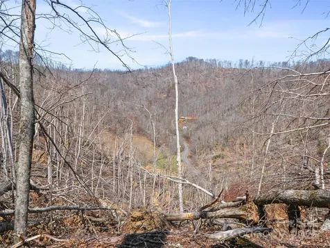0 Nc Highway 226 Bakersville NC 28705