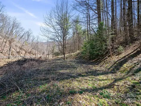 0 Nc Highway 226 Bakersville NC 28705