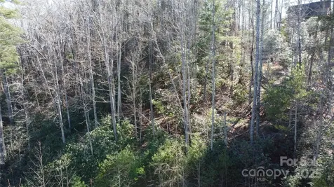 444 Dockside Drive Nebo NC 28761