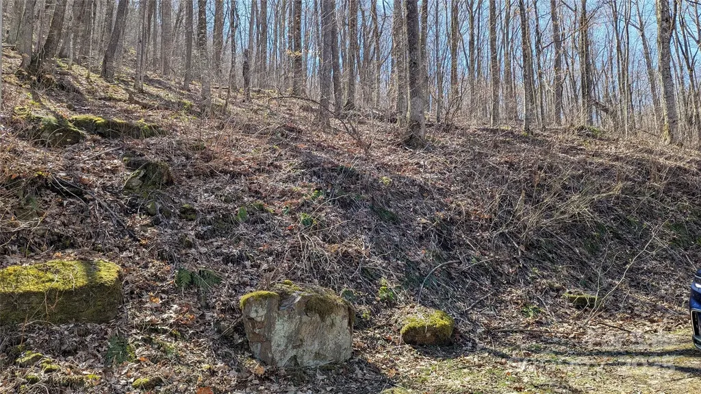 00 Shady Rest Drive Waynesville NC 28785