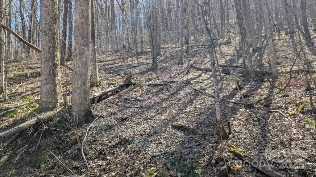 00 Shady Rest Drive Waynesville NC 28785
