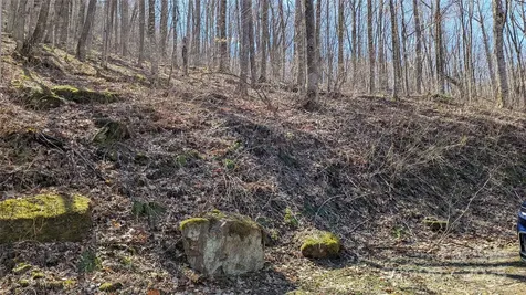 00 Shady Rest Drive Waynesville NC 28785
