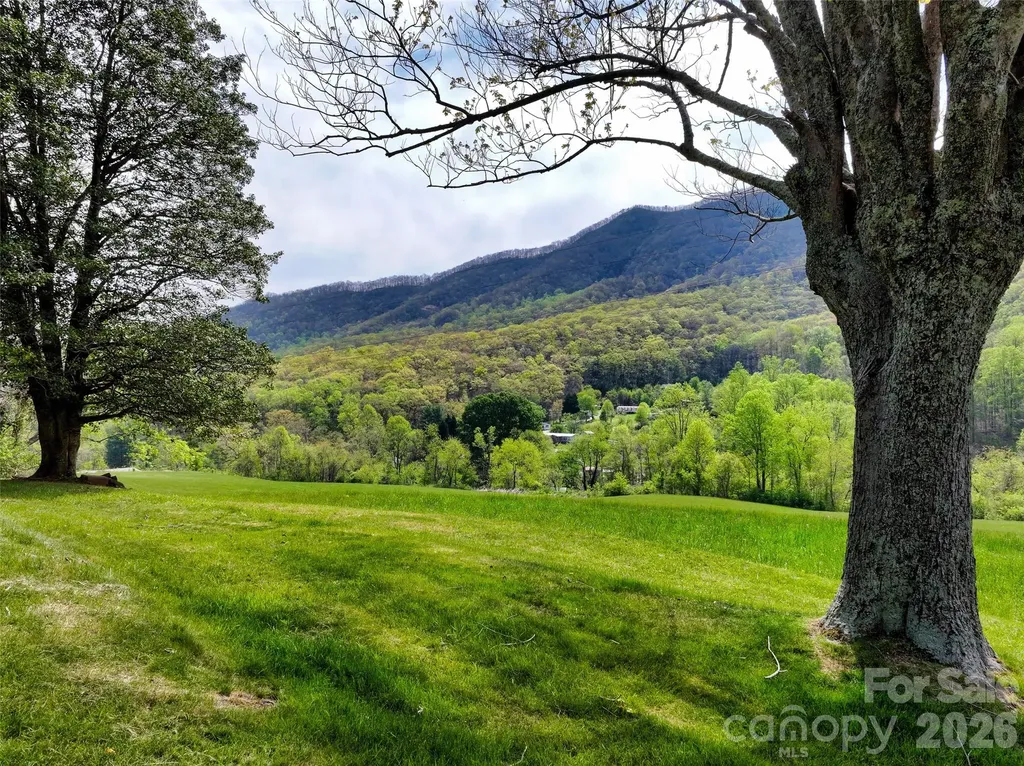 1567 Newfound Road Leicester NC 28748