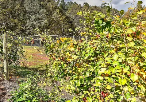 153 Badenyon Place Union Grove NC 28689