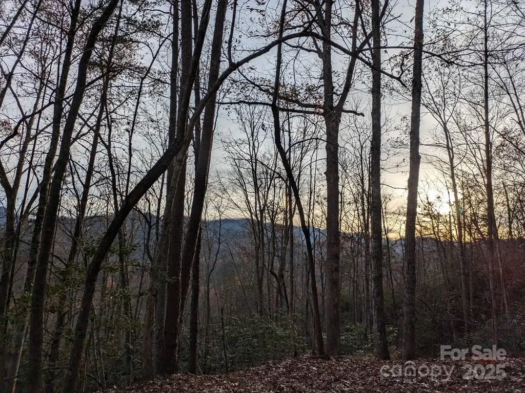 00 Sutton Branch Road Sylva NC 28779