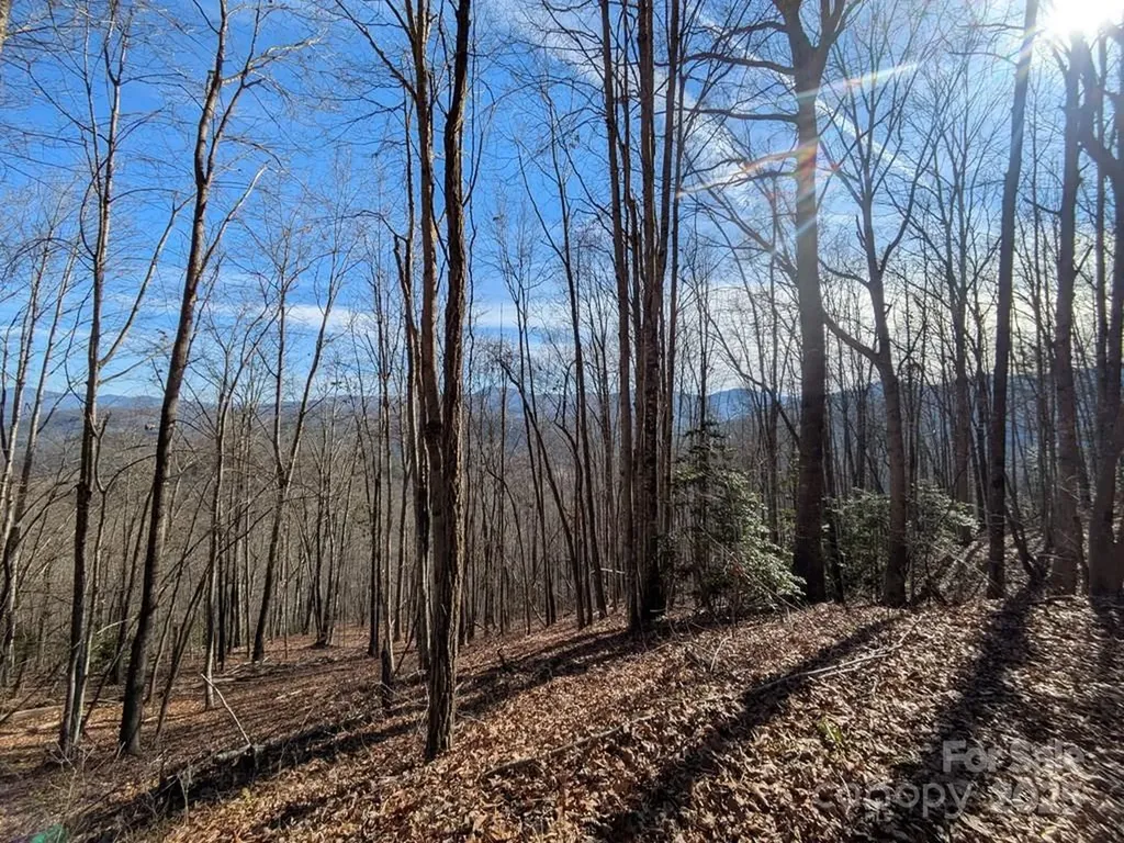 00 Sutton Branch Road Sylva NC 28779