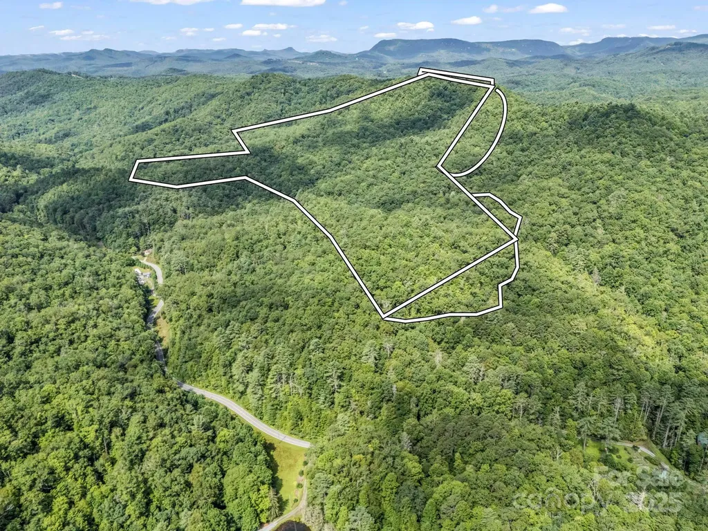 Tbd Frozen Creek Road Brevard NC 28712