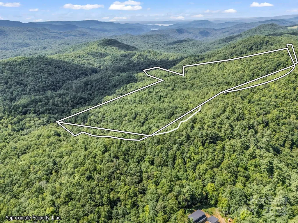 Tbd Frozen Creek Road Brevard NC 28712